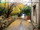 12-2008-Rain-01.jpg