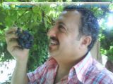 Mohamad_Alawa1_05_2009.jpg