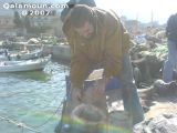 DSC00157.jpg