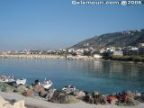 orig_DSC05335.jpg